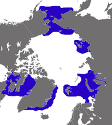 Walrus Arctic Ocean Distribution Map