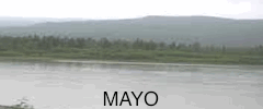 mayo